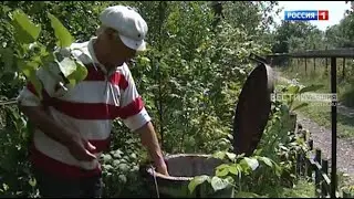 Халăх ывăлĕ. Владимир Чекушкин