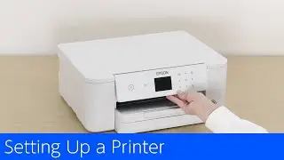 WF-M4119 Setting Up a  Printer