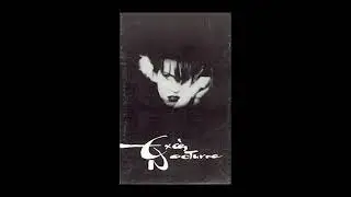 Exces Nocturne - Chats qui