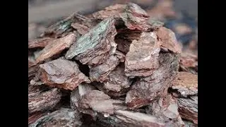 Измельчитель для коры. (шредер)
