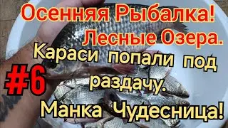 ОСЕННЯЯ РЫБАЛКА НА ЛЕСНЫХ ОЗЁРАХ. ЛОВЛЯ КАРАСЯ НА МАНКУ. КАРАСЬ ПОПАЛ ПОД РАЗДАЧУ.