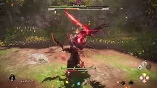 Zhang Liao No Damage NG+ (Round 2)