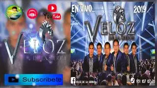 Grupo Veloz De La Sierra⋆  Chilenas En Concierto Éxitos! 2019 ᴴᴰ
