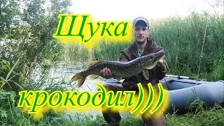 Поймать ЩУКУ в жару и чего это стоило...