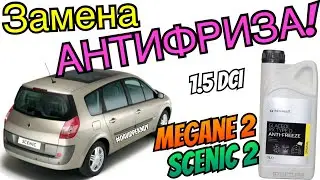 Рено Сценик 2 замена АНТИФРИЗА 1.5 dci. Scenic 2 antifreeze replacement. Megane 2 antifreeze change.