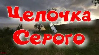 Объединенный Пак 2.2 - Цепочка Серого.