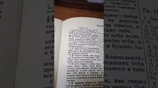 Грядущий царь.Патриотизм
