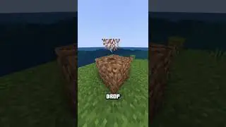 Pass this to become a Minecraft expert!