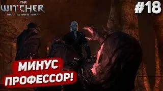 ОГРАБЛЕНИЕ БАНКА! НАПАДЕНИЕ НА УБЕЖИЩЕ САЛАМАНДР! МИНУС ПРОФЕССОР! (ПРОХОЖДЕНИЕ The Witcher #18)