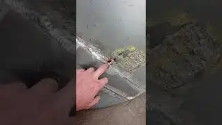 Как найти утечку топливного бака