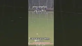 দানব আকৃতির মাছটির ওজন কত হবে#fishing #fish #shorts #viralvideo #foryoupage