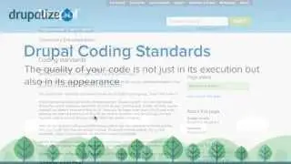 Understanding the Drupal Coding Standards