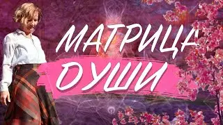 Матрица души // Составление матрицы души на примере звезды кино и предпринимателя Джо Витале