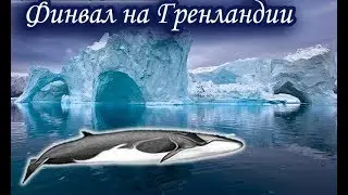 Финвал. Русская Рыбалка.