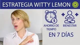 Mucho más que un batch cooking 2.0 | LA ESTRATEGIA WITTY LEMON