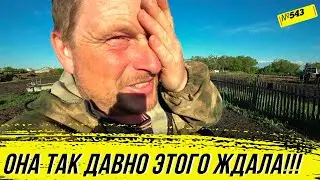Подарил жене подарок, которого она так давно ждала! Деревенские хлопоты, быки, коровы, огород.
