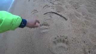 МЕДВЕДЬ СЪЕЛ ВЕСЬ УЛОВ!!! ЩУКА СЛОМАЛА КАТУШКУ - РЫБАЛКА НА БАЙКАЛЕ ЧИВЫРКУЙ #2