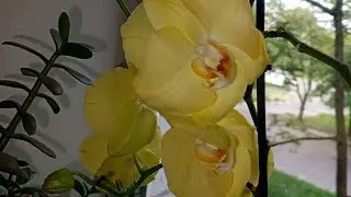 👀🤔 КАКИЕ МЫСЛИ О ВАС БЕСПОКОЯТ ЕГО ГОЛОВУ⁉️🫣