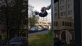 flip
