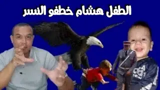 هشام تازة -خطـ .فو النسر وطار به الجبل 🤔 كلشي ممكن .. عصـــ ـابة الكنوز و اخ العريس