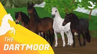 The Dartmoor Pony! ✨ | Star Stable Horses