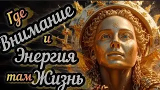Внимание и Энергия. Ключи Жизни.