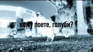 Кому поете, голуби?