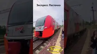 Экспресс Ласточка Челябинск - Магнитогорск #ласточка #магнитогорск #челябинск #2024 #поезд