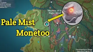 Pale Mist Monetoo  Puzzle Gwnshin Impact