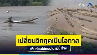 เปลี่ยนวิกฤตเป็นโอกาส เก็บท่อนไม้ลอยในแม่น้ำโขง