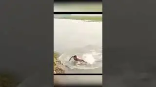 cari masalah kirain buaya ternyata kena kepala orang hahaha #shorts
