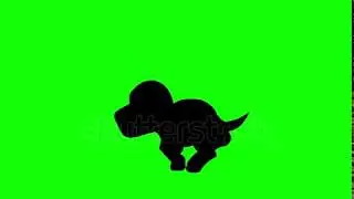 dog running in green screen form right to left video effect.