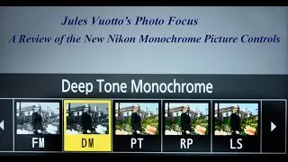 A Review of the New Nikon Monochrome Picture Controls