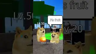 Drop hay store?🤔 | Doge Gaming