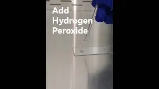 Catalase test Biochemical test 