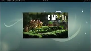 How to install Gimp 2.10.6 in Debian 9