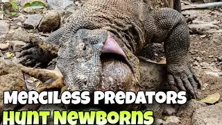 7 TIMES MERCILESS PREDATORS HUNT NEWBORNS