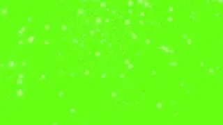 Green Screen Flying Flowers Animation | Dandelion Green Screen Video
