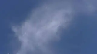 Голуби в полете