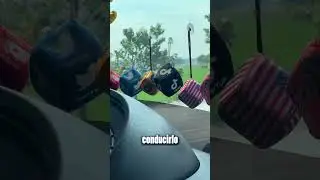¡Qué belleza de camión!