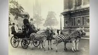 🔴▶Raras FOTOGRAFIAS ANTIGAS e históricas - NOSTALGIA HISTÓRIA | PART 5 | CenaTop