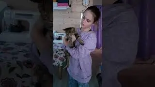 Пятничные котики. Вредина.