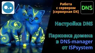 How to bind a domain name to a server using DNS manager from ISPsystem