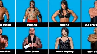 Comparison: WWE Wrestlers Doppelgangers