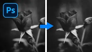 How to Add Noise to an Image in Photoshop