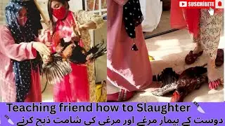 Two females slaughtered two roasters | Pre slaughter vlog