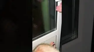 На ночь глядя Тимофей пошел гулять)))