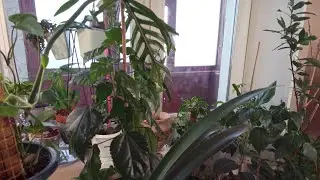 Вот и декабрь