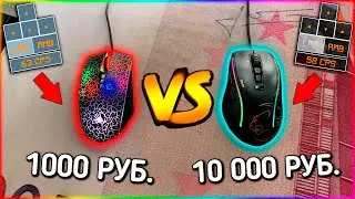 МЫШКА ЗА 1000 vs ЗА 10000 РУБЛЕЙ! Bloody vs ROCCAT | Какая Лучше?