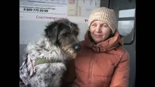 Палочка выручалочка 7 с субтитрами
